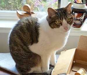 Casey photo 2